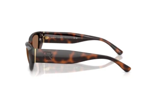 Zijaanzicht Ralph Lauren RL8231U (624173)