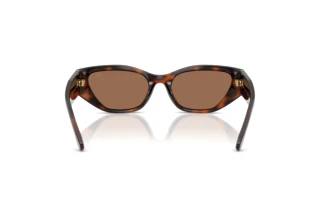 Achteraanzicht Ralph Lauren RL8231U (624173)