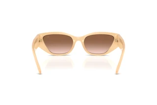 Achteraanzicht Ralph Lauren RL8231U (624513)