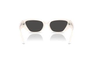 Achteraanzicht Ralph Lauren RL8231U (630987)