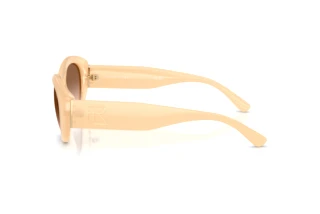 Zijaanzicht Ralph Lauren RL8232U (624513)