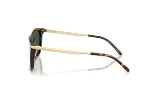 Zijaanzicht Ralph Lauren RL8233U (500371)