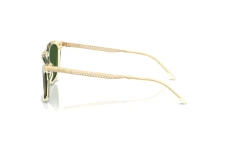 Zijaanzicht Ralph Lauren RL8233U (503471)