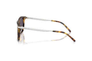 Zijaanzicht Ralph Lauren RL8233U (51341A)