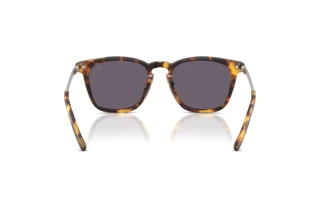 Achteraanzicht Ralph Lauren RL8233U (51341A)