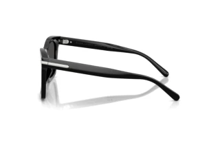 Zijaanzicht Ralph Lauren RL8235U (500187)