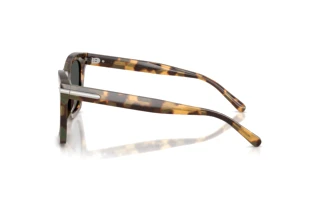 Zijaanzicht Ralph Lauren RL8235U (617887)