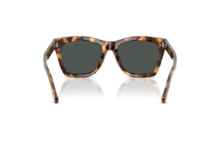 Achteraanzicht Ralph Lauren RL8235U (617887)