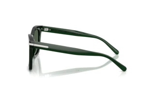 Zijaanzicht Ralph Lauren RL8235U (630471)