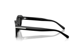 Zijaanzicht Ralph Lauren RL8236U (500187)