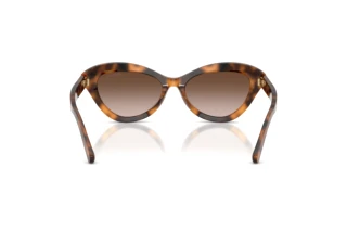 Achteraanzicht Ralph Lauren RL8236U (608913)