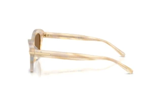 Zijaanzicht Ralph Lauren RL8236U (617673)