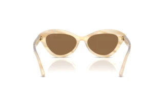 Achteraanzicht Ralph Lauren RL8236U (617673)