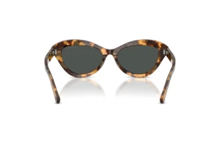Achteraanzicht Ralph Lauren RL8236U (617887)