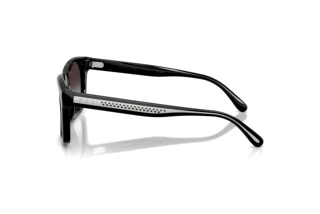 Zijaanzicht Ralph Lauren RL8237U (50018G)