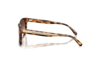Zijaanzicht Ralph Lauren RL8237U (608913)