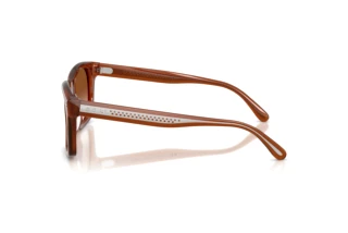 Zijaanzicht Ralph Lauren RL8237U (630613)