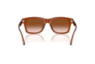 Achteraanzicht Ralph Lauren RL8237U (630613)