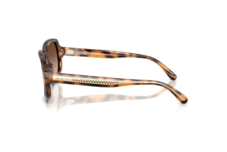Zijaanzicht Ralph Lauren RL8238U (608913)