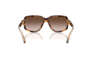 Achteraanzicht Ralph Lauren RL8238U (608913)