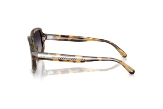 Zijaanzicht Ralph Lauren RL8238U (61788G)