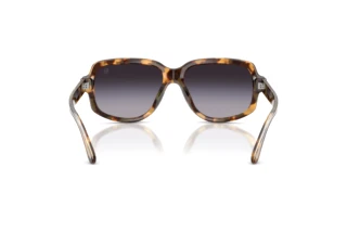 Achteraanzicht Ralph Lauren RL8238U (61788G)