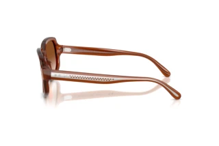 Zijaanzicht Ralph Lauren RL8238U (630613)