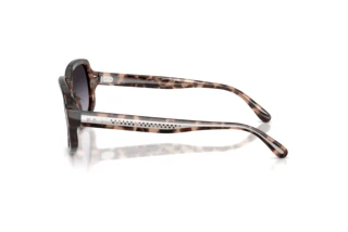 Zijaanzicht Ralph Lauren RL8238U (63078G)