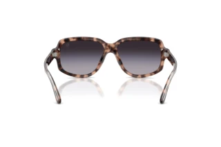 Achteraanzicht Ralph Lauren RL8238U (63078G)