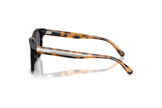 Zijaanzicht Ralph Lauren RL8239U (50011A)