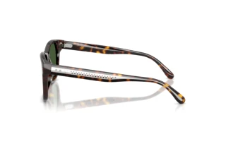 Zijaanzicht Ralph Lauren RL8239U (500371)