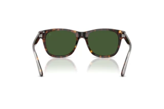 Achteraanzicht Ralph Lauren RL8239U (500371)
