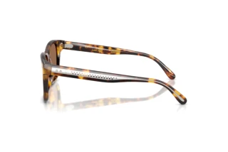 Zijaanzicht Ralph Lauren RL8239U (513473)