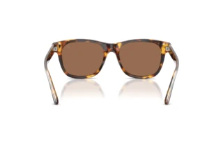 Achteraanzicht Ralph Lauren RL8239U (513473)