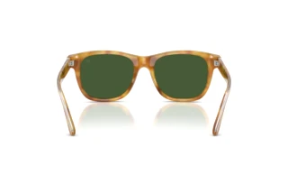 Achteraanzicht Ralph Lauren RL8239U (618571)