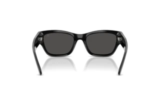 Achteraanzicht Ralph Lauren RL8240U (500187)