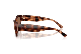 Zijaanzicht Ralph Lauren RL8240U (635173)