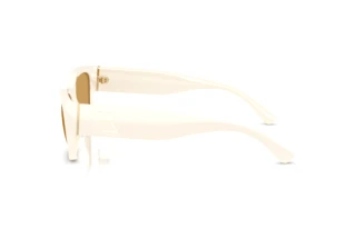 Zijaanzicht Ralph Lauren RL8240U (635273)