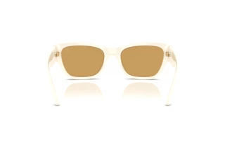Achteraanzicht Ralph Lauren RL8240U (635273)