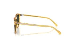 Zijaanzicht Ralph Lauren RL8241U (50053R)