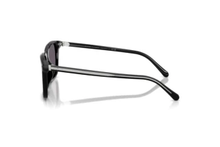 Zijaanzicht Ralph Lauren RL8242U (50011A)