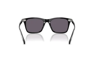 Achteraanzicht Ralph Lauren RL8242U (50011A)