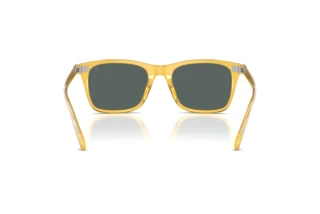 Achteraanzicht Ralph Lauren RL8242U (50053R)