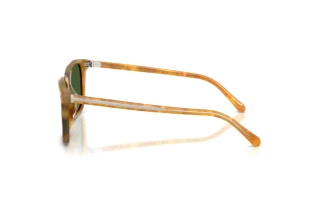Zijaanzicht Ralph Lauren RL8242U (618571)
