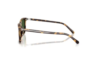 Zijaanzicht Ralph Lauren RL8242U (633971)
