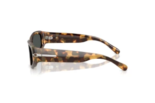 Zijaanzicht Ralph Lauren RL8243U (617887)
