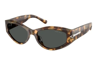 Vooraanzicht Ralph Lauren RL8243U (617887)