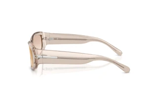 Zijaanzicht Ralph Lauren RL8243U (63904E)