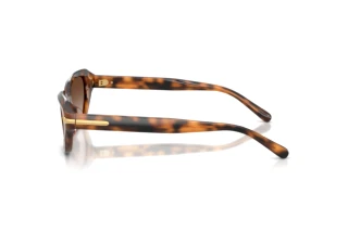 Zijaanzicht Ralph Lauren RL8244U (608913)