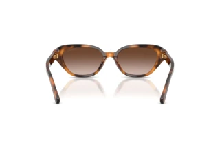 Achteraanzicht Ralph Lauren RL8244U (608913)